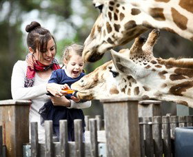 Taronga Western Plains Zoo, Dubbo - Foster Accommodation 0