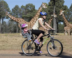 Taronga Western Plains Zoo, Dubbo - Foster Accommodation 2