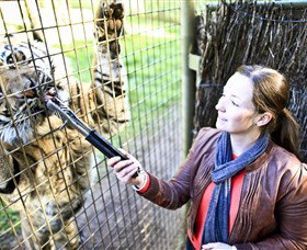 Taronga Western Plains Zoo, Dubbo - Foster Accommodation 3