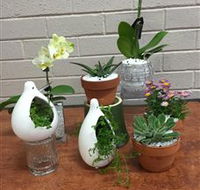 Cobram Florist - Foster Accommodation