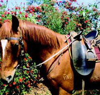 Western Plains Riding Centre - Foster Accommodation