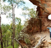 Pilliga National Park - Foster Accommodation