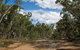 Pilliga National Park - thumb 2
