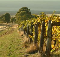 Captains Creek Organic Wines - Foster Accommodation
