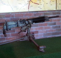 Woodpecker Gun - Foster Accommodation