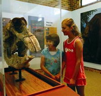Australian Museum Diprotodon Exhibition - Foster Accommodation