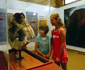 Australian Museum Diprotodon Exhibition - Foster Accommodation 0
