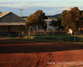 Sunshine Iris Nursery - Foster Accommodation 1