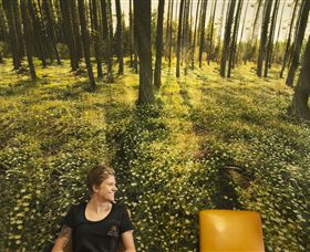 Port Fairy Massage - Foster Accommodation 0