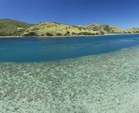 Snorkelling On Keswick Island - Foster Accommodation 1