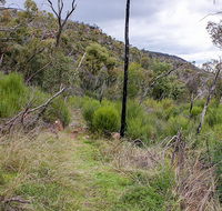 Lynchs loop trail - Foster Accommodation