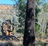 Eualdrie walking track - Foster Accommodation
