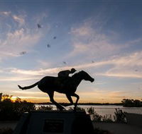 Black Caviar Statue - Foster Accommodation