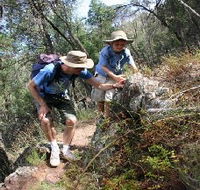 Mount Arthur Reserve - Foster Accommodation