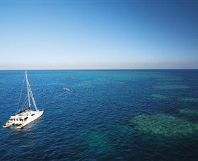Bait Reef And Garys Lagoon Dive Site - Foster Accommodation 0