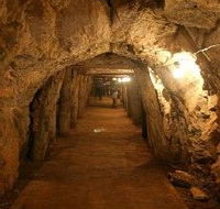 Wellington Caves and Phosphate Mine - Foster Accommodation