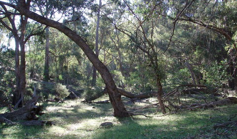 Mount Nangar Walking Track - Foster Accommodation 1