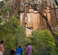 Sawn Rocks walking track - Foster Accommodation
