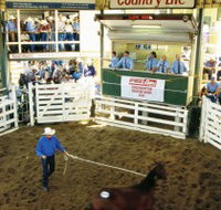 Gracemere Exhibition Complex - Foster Accommodation