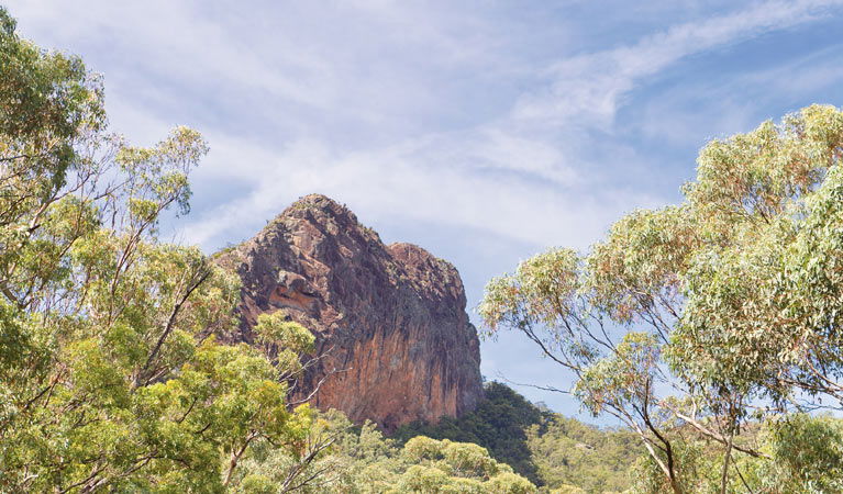 Bullawa Creek NSW Foster Accommodation