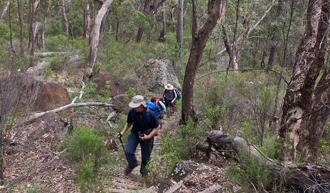 Yulludunida Walking Track - Foster Accommodation 3