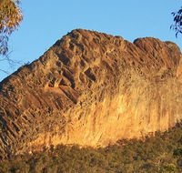 Kaputar scenic drive - Foster Accommodation