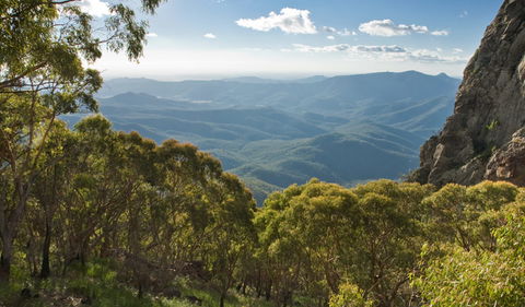 Kaputar Scenic Drive - Foster Accommodation 1