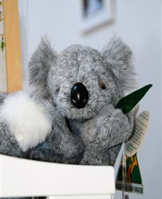 Timboon West VIC Foster Accommodation