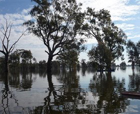 Doodle Cooma Swamp - Foster Accommodation 1