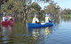 Doodle Cooma Swamp - thumb 0