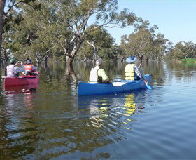 Doodle Cooma Swamp - Foster Accommodation 0