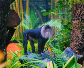 The Rockhampton Zoo - Foster Accommodation 3