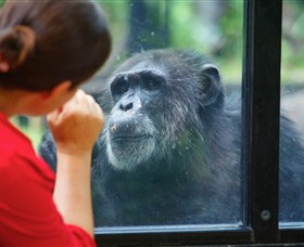 The Rockhampton Zoo - Foster Accommodation 0