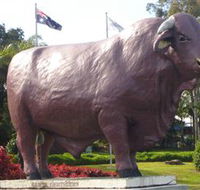 Rockhampton Bull Statues - Foster Accommodation