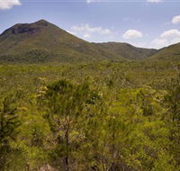 Kutini-Payamu Iron Range National Park CYPAL - Foster Accommodation