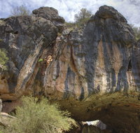 Borenore Karst Conservation Reserve - Foster Accommodation