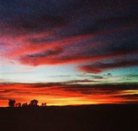 Springview Eco-Farm - Foster Accommodation