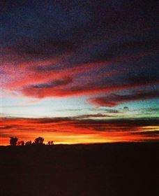 Springview Eco-Farm - Foster Accommodation 0