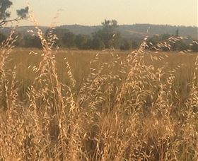 Springview Eco-Farm - Foster Accommodation 3