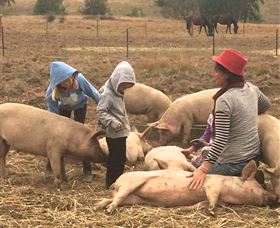 Springview Eco-Farm - Foster Accommodation 2