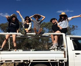 Springview Eco-Farm - Foster Accommodation 1