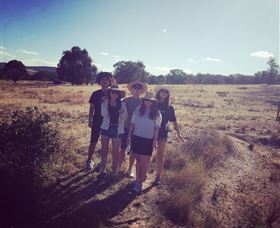 Springview Eco-Farm - Foster Accommodation 5