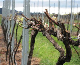 Stockmans Ridge Wines - Foster Accommodation 2