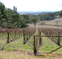 Habitat Vineyard - Foster Accommodation