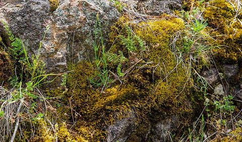 Hopetoun Falls Walking Track - Foster Accommodation 2