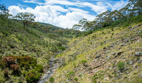 Hopetoun Falls Walking Track - Foster Accommodation 3