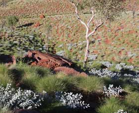 Camel Trail, Millstream-Chichester National Park - Foster Accommodation 2