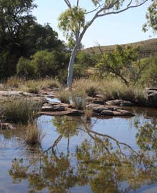 Camel Trail, Millstream-Chichester National Park - Foster Accommodation 3
