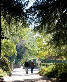 Cook Park Heritage Walk - Foster Accommodation 0