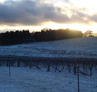 Charles Sturt University Winery - Foster Accommodation